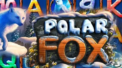polar fox